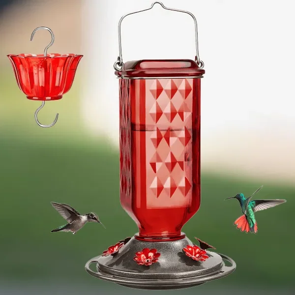 Belro 24oz leak-proof glass hummingbird feeder with a clear glass reservoir and colorful feeding ports for garden decoration