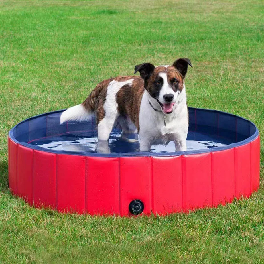 Belro foldable dog pool made of durable material, shown filled with water and suitable for pets to cool off and play outdoors.