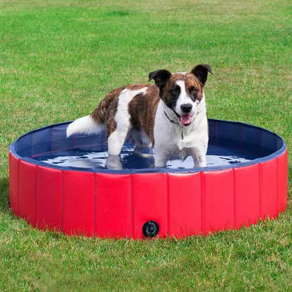 Belro foldable dog pool made of durable material, shown filled with water and suitable for pets to cool off and play outdoors.