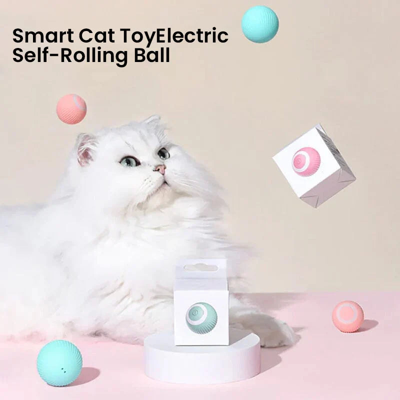 Belro 2-in-1 simulated interactive hunting cat toy with feathers and moving parts for engaging feline play and exercise.