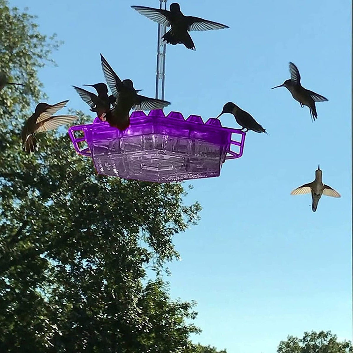 Belro ant-proof hummingbird feeder with outdoor hanging perch, decorative garden bird feeder for attracting hummingbirds