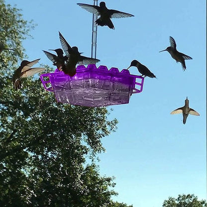Belro ant-proof hummingbird feeder hanging outdoors with perch, designed for garden decoration and bird feeding.