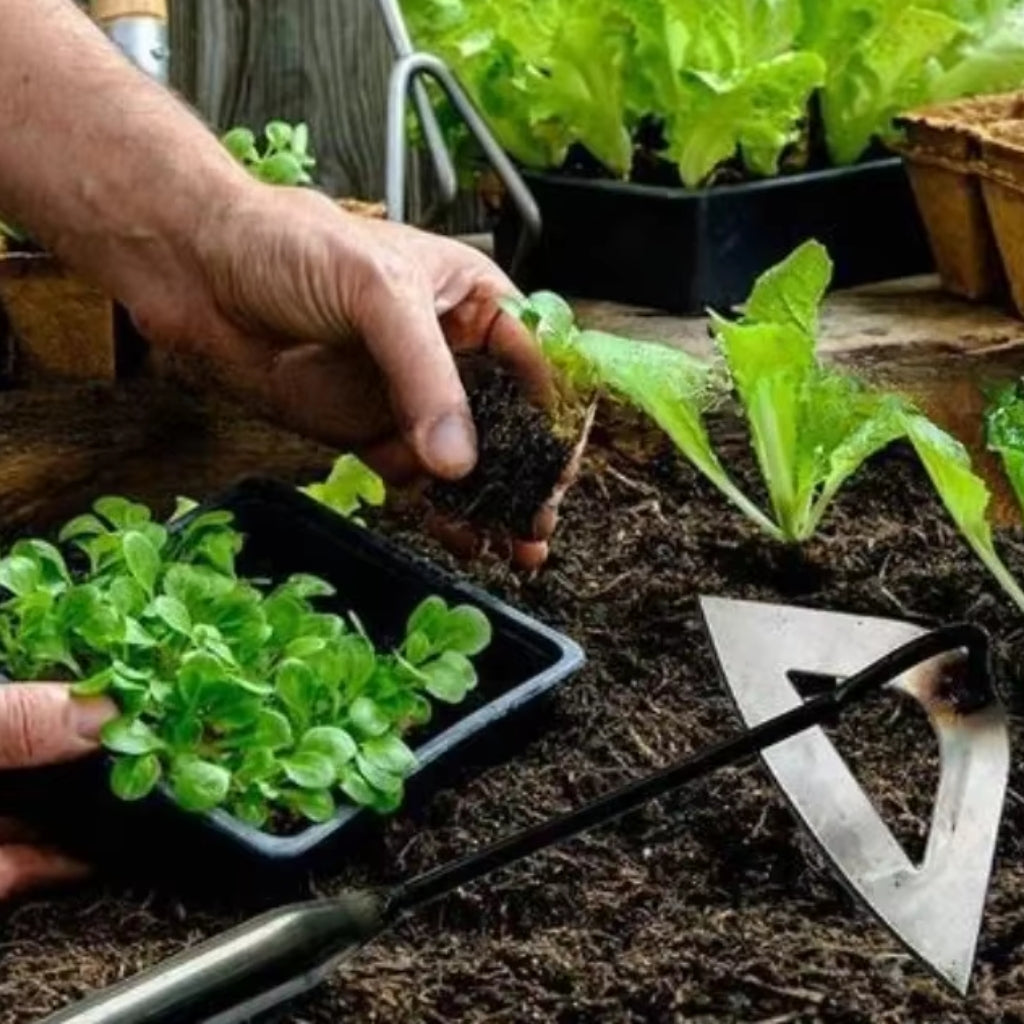 Mivoza garden weeding tool with hollow blade, designed for effortless weeding and clean results in garden soil.