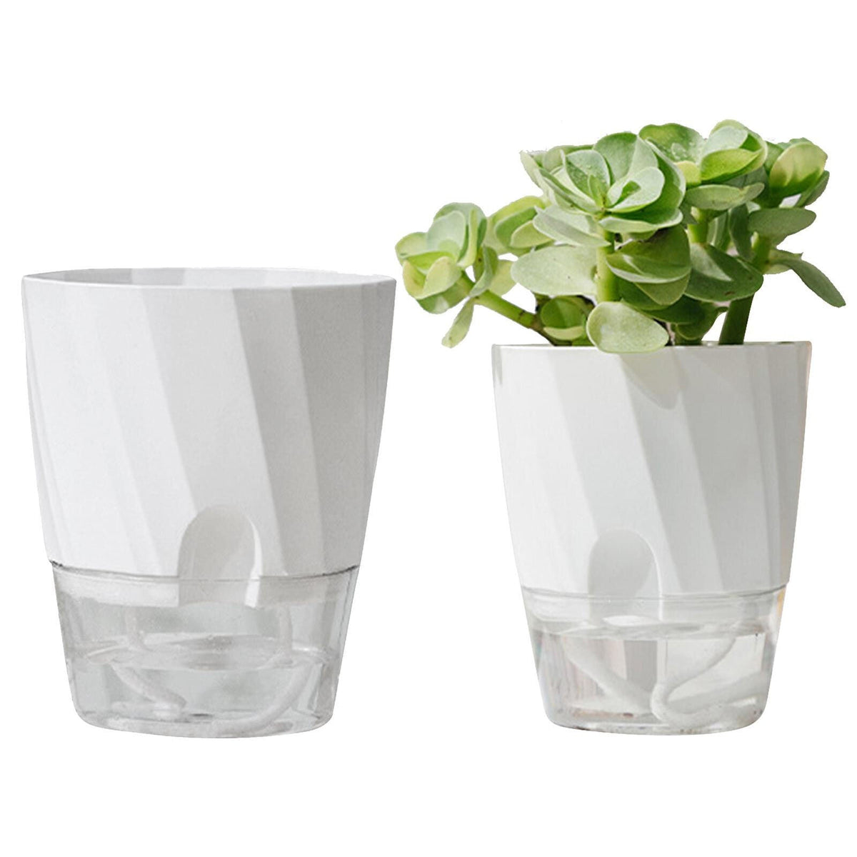 Belro self-watering planter for outdoor home and garden, featuring a modern design with visible water reservoir and plant.