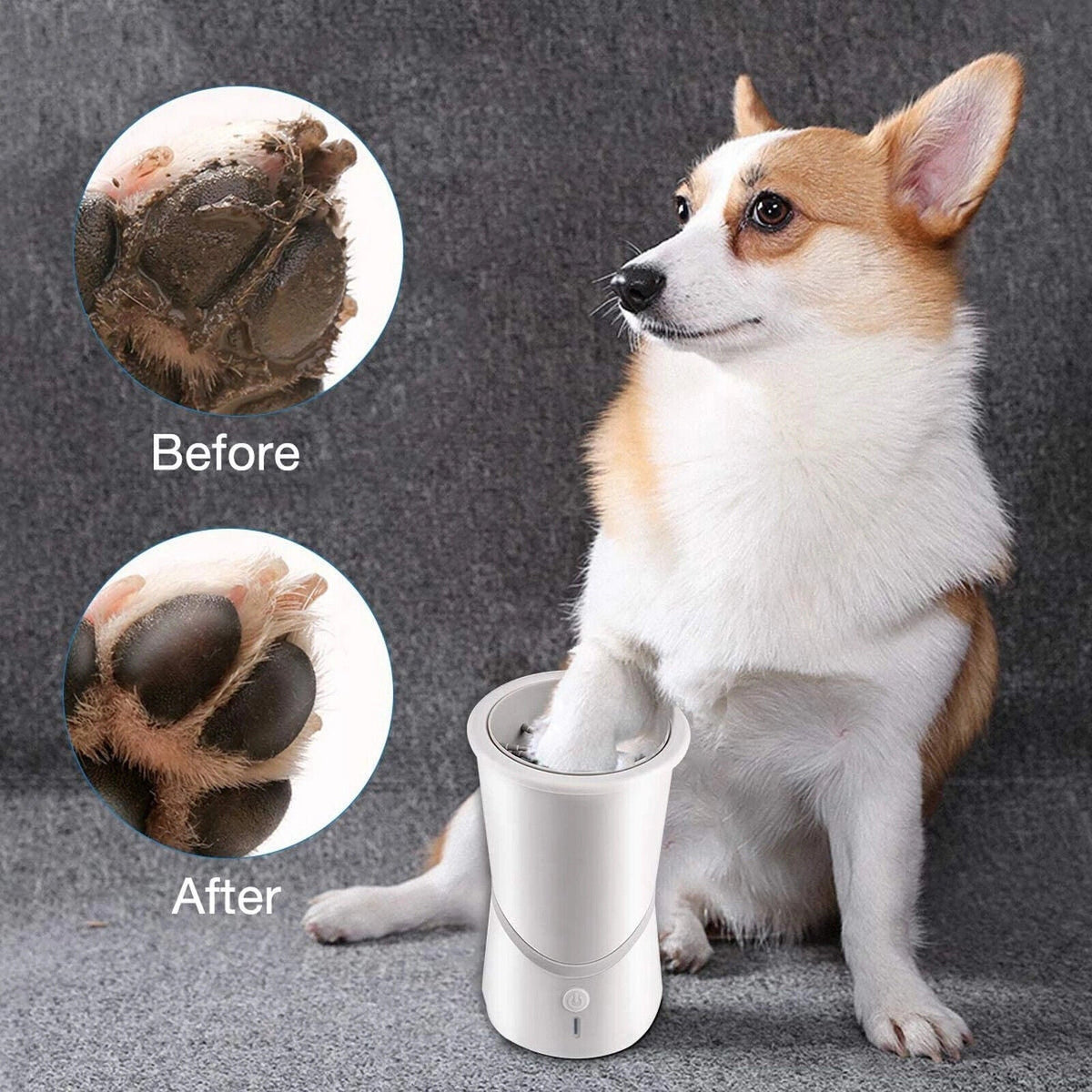Belro automatic paw cleaner for dogs with soft brushes and water basin, designed to gently clean pet paws before indoor entry.