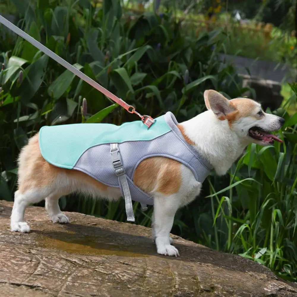 Belro dog cooling vest for outdoor activities, lightweight and breathable clothing vest designed to keep dogs cool in warm weather.