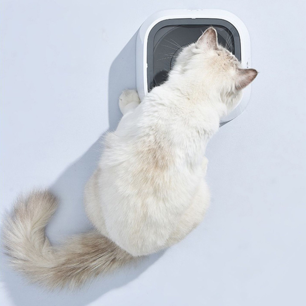 Belro large capacity anti-overflow dog water bowl with spill-proof design, suitable for preventing messes during pet hydration.