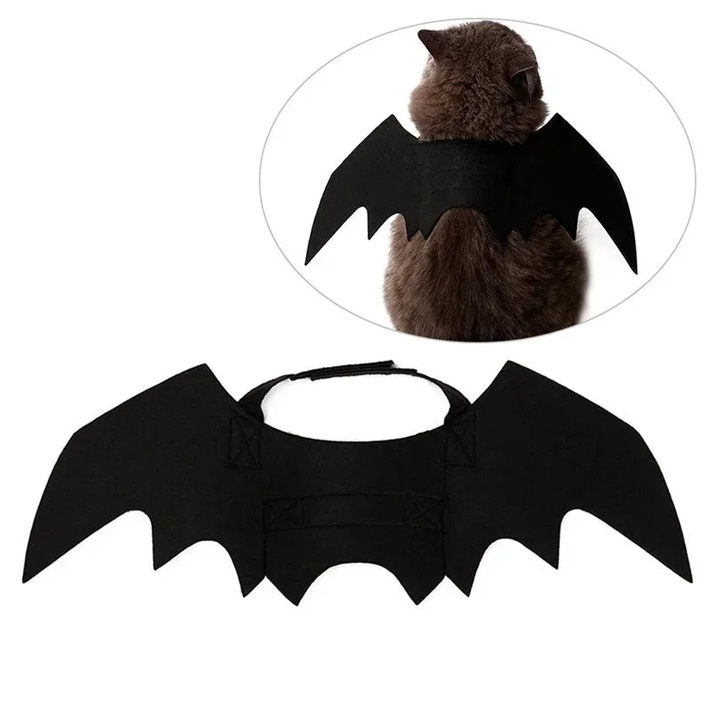 Pet wearing Belro Bat Wing Halloween costume with black bat wings and adjustable straps, perfect for spooky pet costumes.