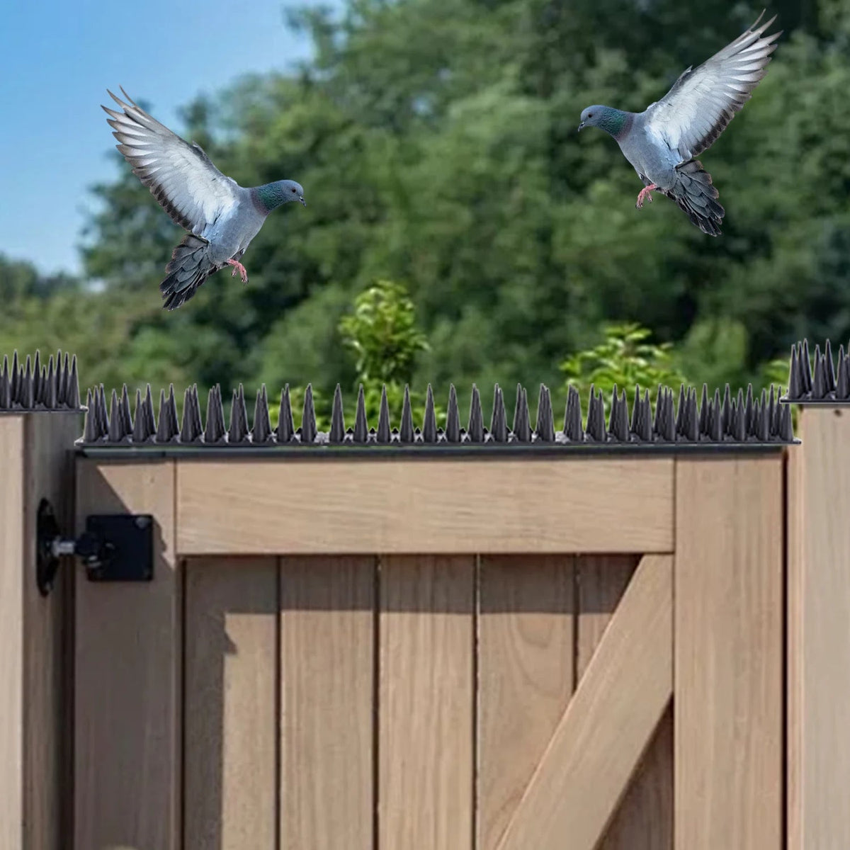 Belro plastic bird repeller control spikes for home and garden decor, designed to deter birds from unwanted areas