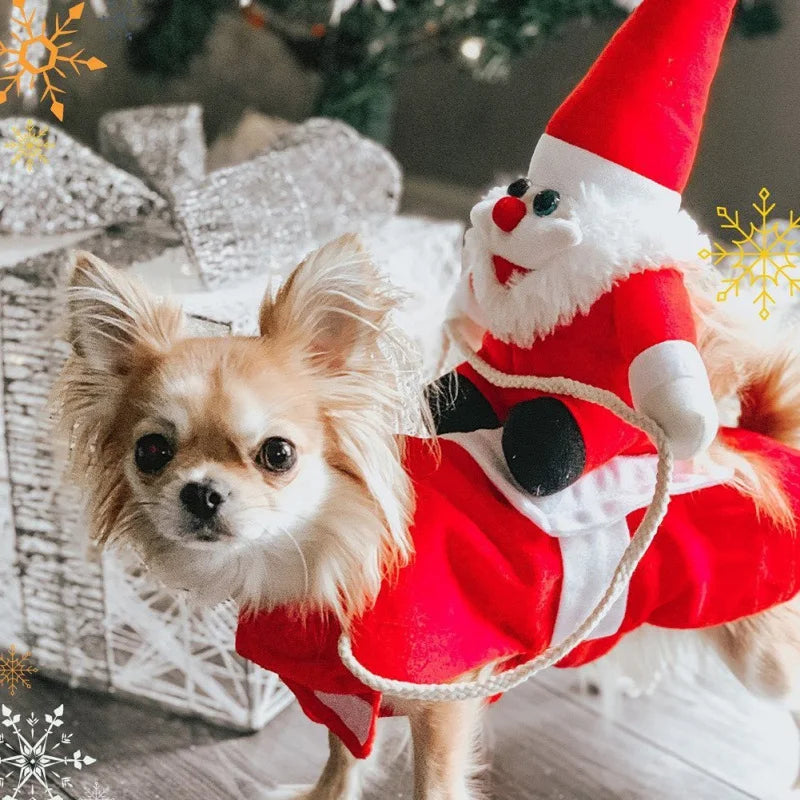 Belro Santa riding dog Christmas costume with festive red coat and hat on a small dog, holiday costume for pets and dogs.