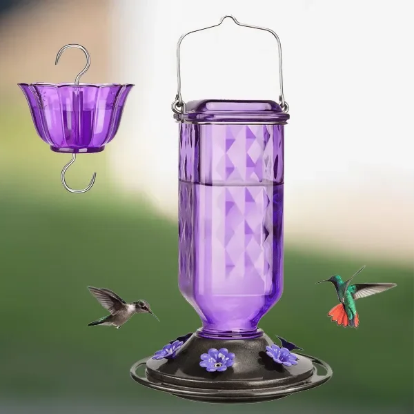Clear 24oz leak-proof glass hummingbird feeder with red accents, designed for outdoor garden decor by Belro.