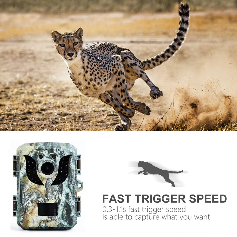 Belro compact wildlife trail camera with HD infrared night vision and durable outdoor design for wildlife monitoring.