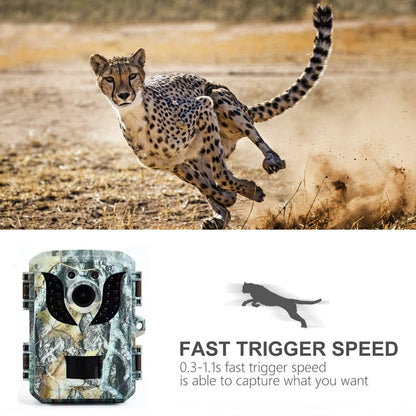 Belro compact wildlife trail camera with HD infrared night vision and durable outdoor design for wildlife monitoring.