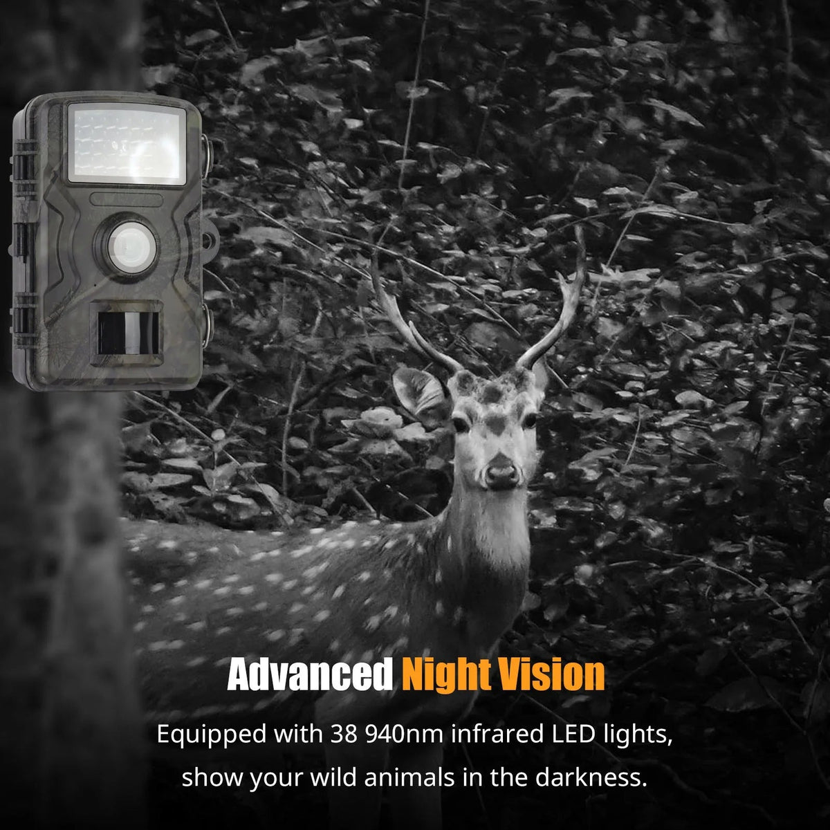 Belro 1080P night vision trail camera with lens, motion sensor, and outdoor rugged design for wildlife monitoring and security.
