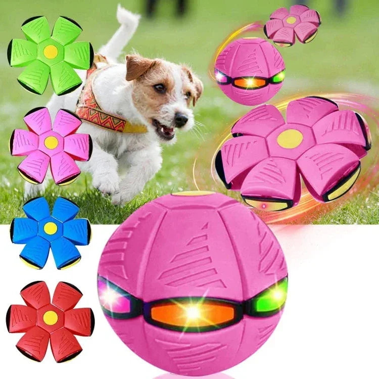 Belro Flying Saucer Ball dog toy for pets, featuring a colorful, durable plastic design for playful outdoor or indoor fun.