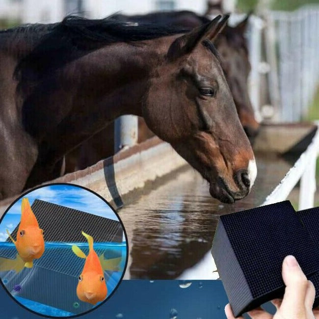 Belro Water Purifier Bio Cube for livestock, aquariums, and horse troughs, showing the compact filtration device in use.