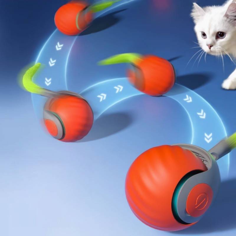 Belro interactive cat toys for indoor cats, featuring colorful and engaging toys designed to keep cats entertained and active indoors.