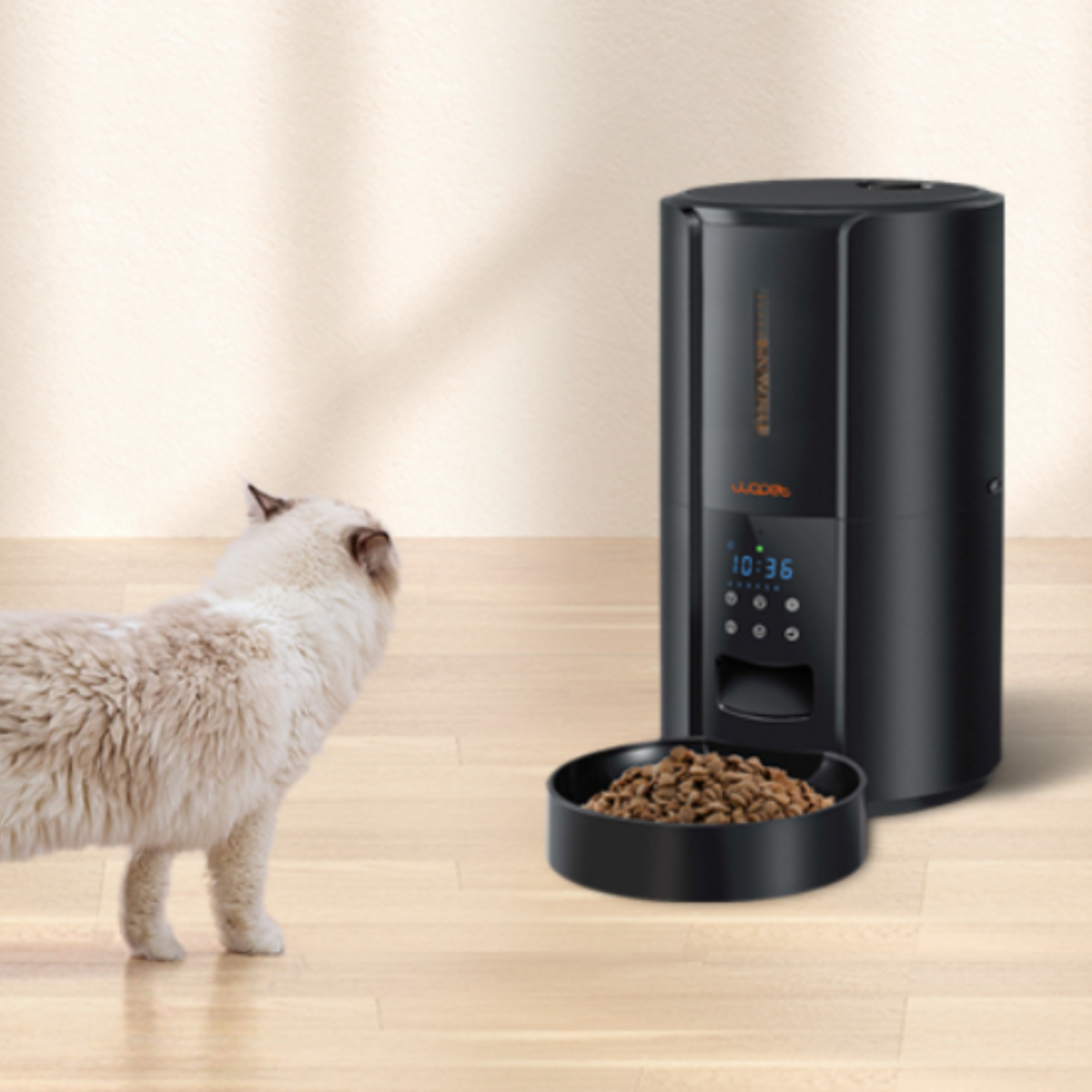 Belro large automatic pet food dispenser for dogs and cats, with digital timer and easy-access food tray in pet supplies setting.