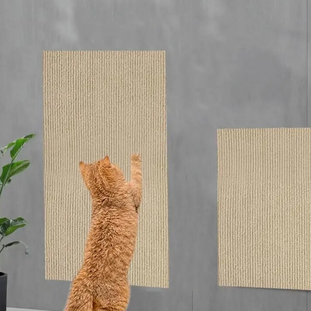 Belro Ultimate Cat Scratch Couch Guard protector carpet mat designed to prevent cat scratching damage on furniture.