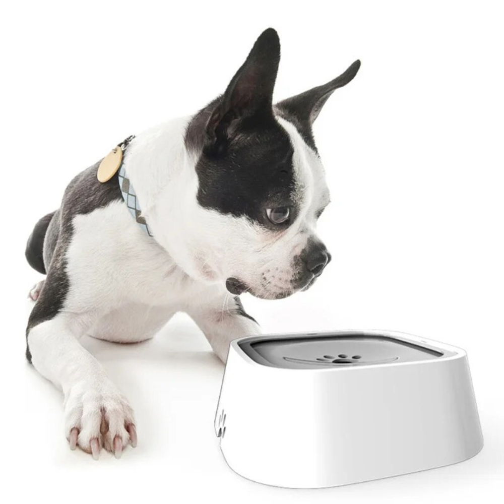Belro large capacity anti-overflow dog water bowl for pet feeding, designed to prevent spills and ensure fresh water for dogs.