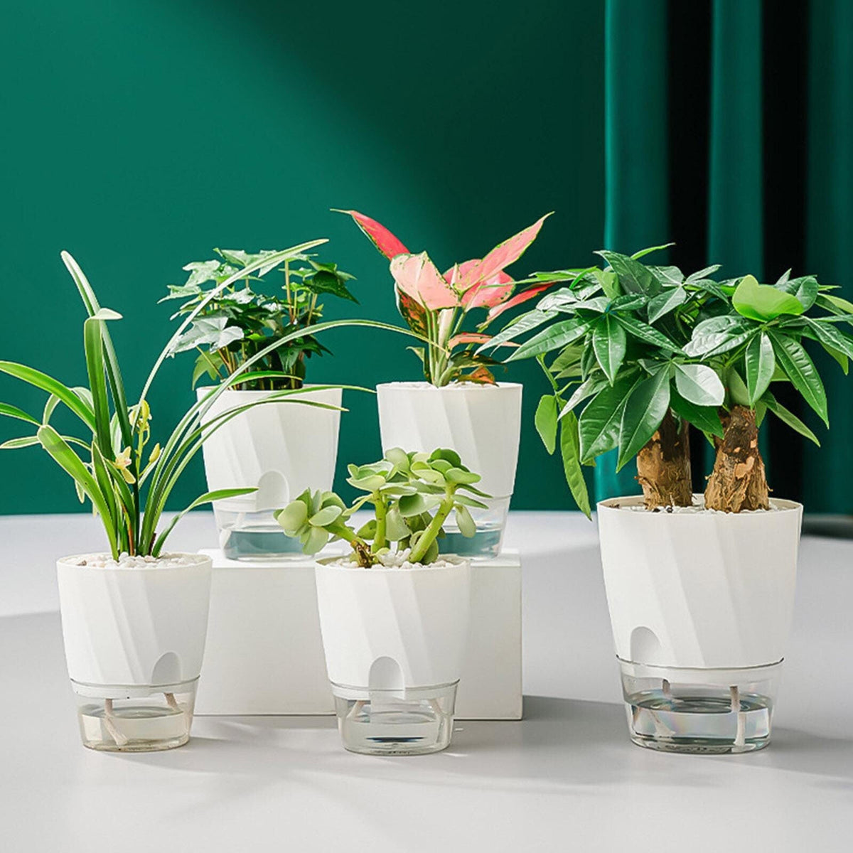 Belro self-watering planter for outdoor gardens, featuring a modern design and built-in water reservoir for easy plant care.