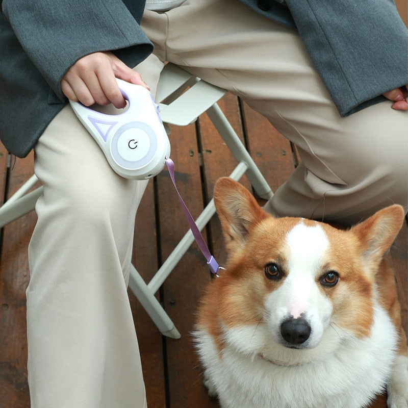 Belro LED retractable dog leash with built-in light, adjustable length, suitable for nighttime walks with pets