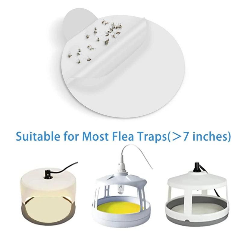 Belro sticky bed bug trap refill glue boards showing sticky surface for pest control in home and garden outdoor pest management.