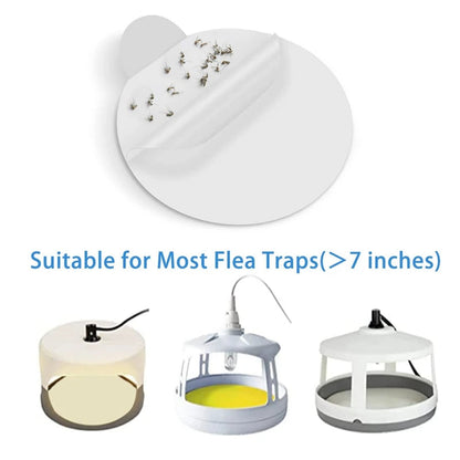 Belro sticky bed bug trap refill glue boards showing sticky surface for pest control in home and garden outdoor pest management.