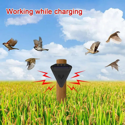 Belro solar outdoor bird repeller in garden, with solar panel and spinning deterrent blades for pest control and bird prevention