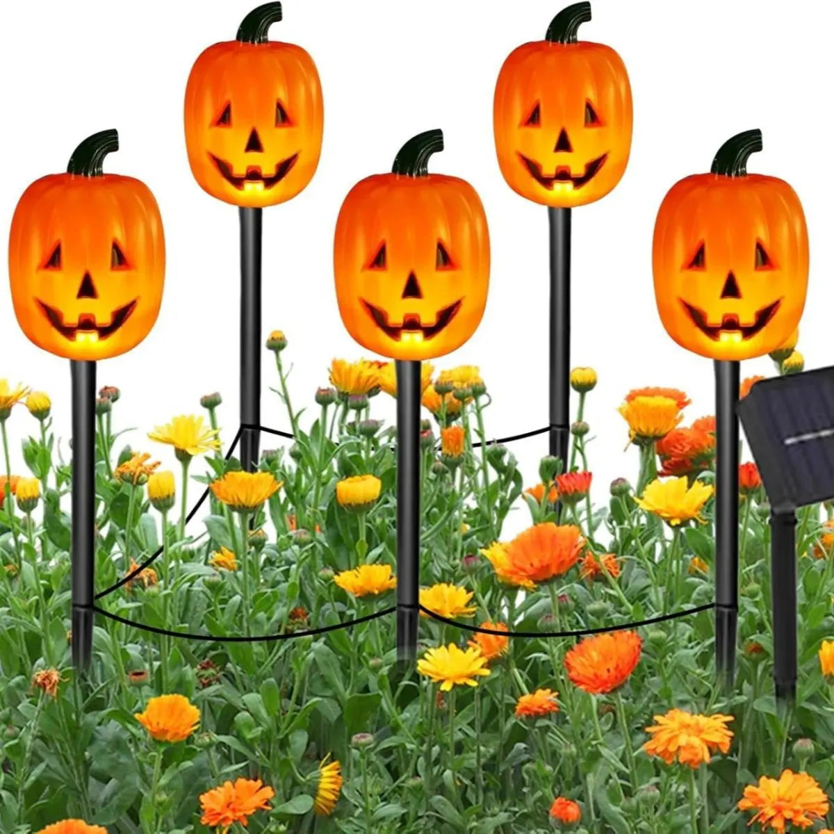 Lighted Halloween pumpkin and ghost solar decor set by Belro, featuring festive Halloween accessories with illuminated features.