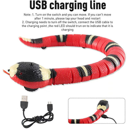 Belro interactive cat toys with colorful feathers and moving parts for engaging feline play and mental stimulation.
