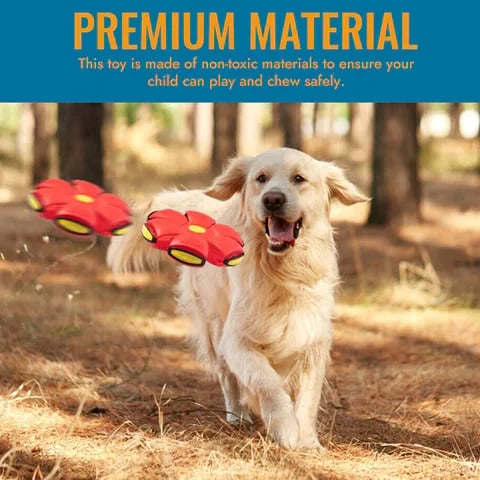 Belro Flying Saucer Ball dog toy with colorful rubber surface, ideal for pets and playful outdoor or indoor fun