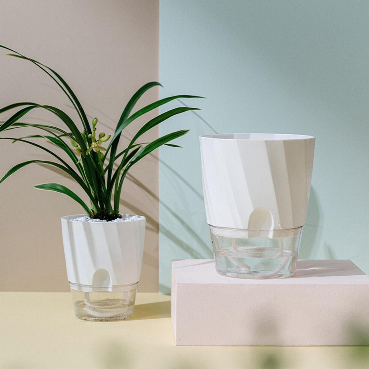 Belro self watering planter for outdoor gardens, featuring a sleek design with water reservoir and drainage system.