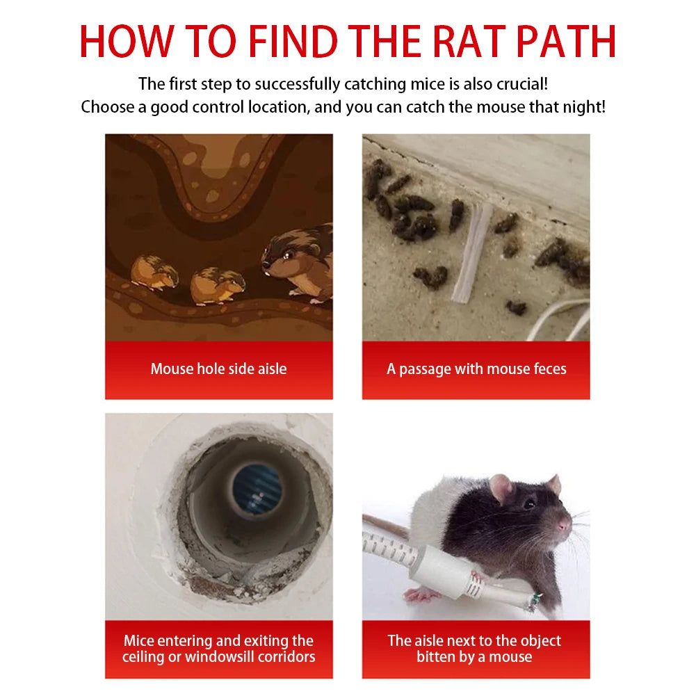Belro sliding door reusable mouse trap cage for pest control, with a sliding door design for easy mouse capture and release.