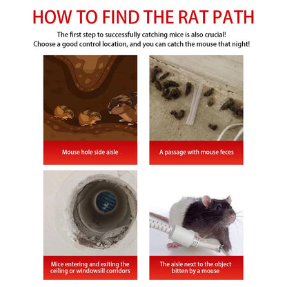Belro sliding door reusable mouse trap cage for pest control, with a sliding door design for easy mouse capture and release.