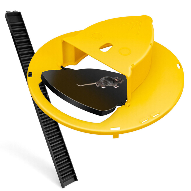Reusable humane auto-reset bucket cover mouse trap by Belro, designed to safely catch mice in outdoor pest control setups.