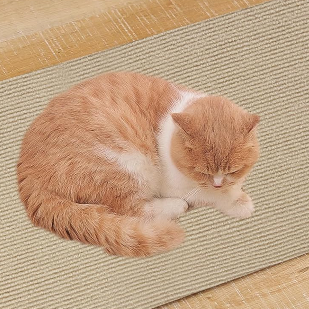 Belro Ultimate Cat Scratch Couch Guard Protector Carpet Mat for furniture protection and pet scratch prevention.