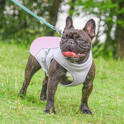 Belro dog cooling vest designed for outdoor activities, lightweight and breathable pet clothing for hot weather.