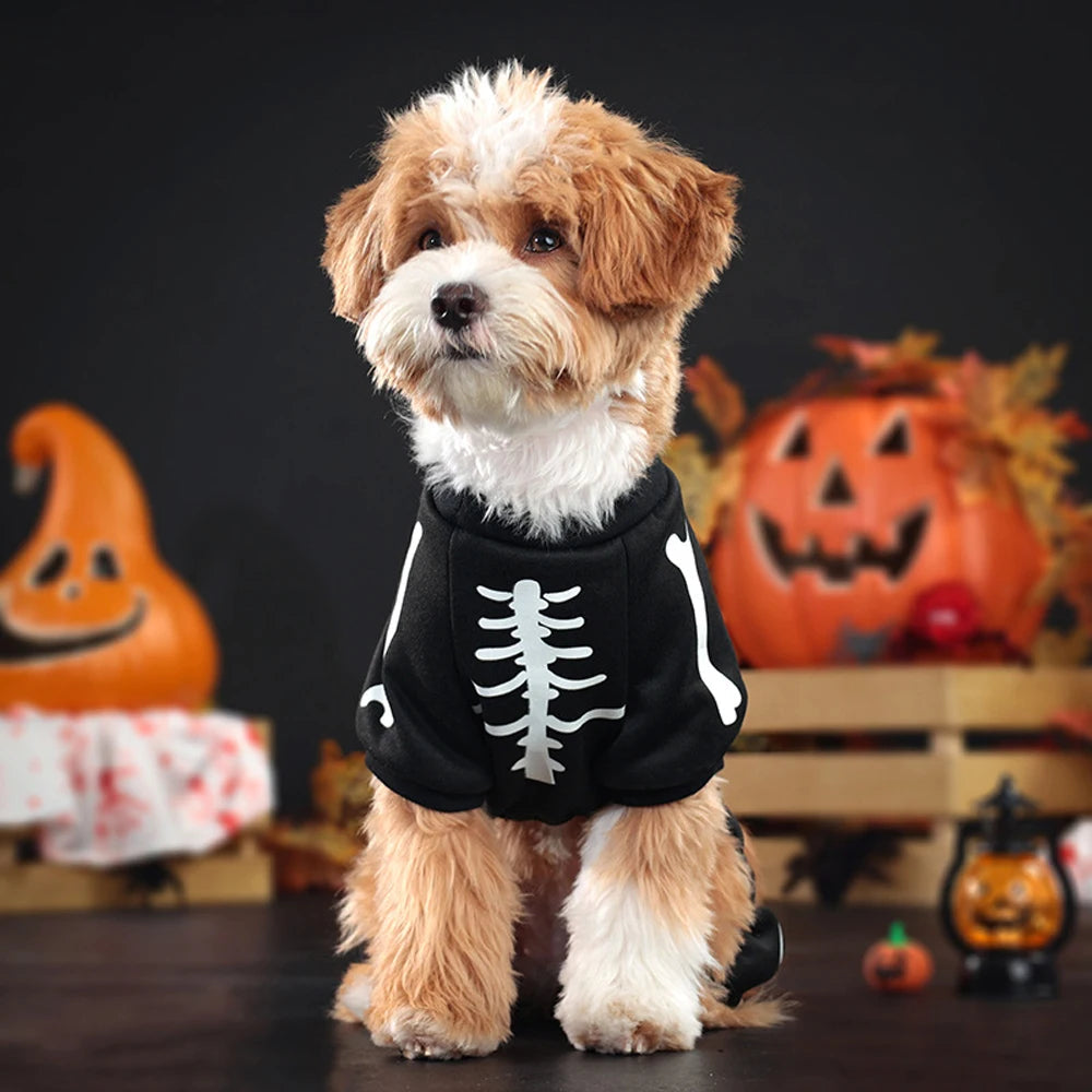 Belro skeleton jumpsuit dog Halloween costume featuring black fabric with white bone details, designed for festive pet dress-up.
