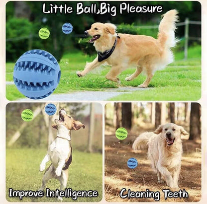 Belro interactive rubber ball for birds, colorful pet toy with textured surface, designed to entertain and engage pet birds.