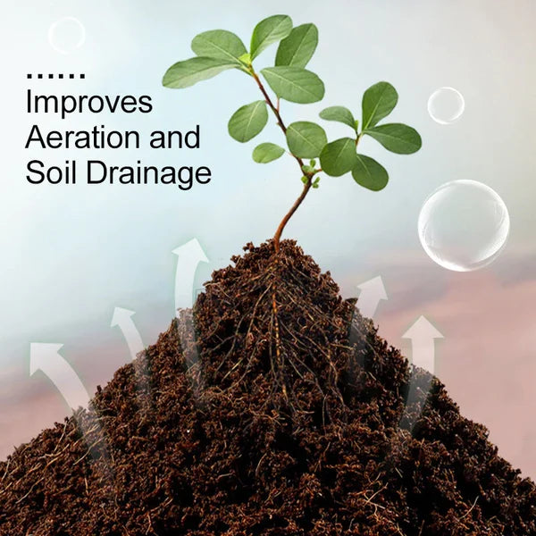 Organic coconut coir for plants, Belro brand, outdoor garden use, showing textured natural coir fibers in a clean container.