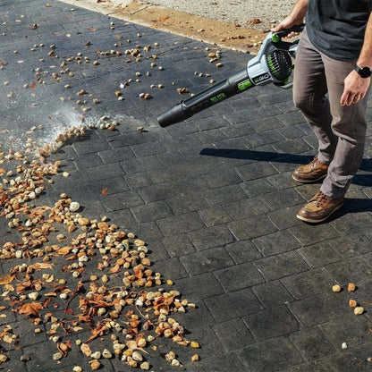 Casavibeo EGO Power+ 765 CFM Blower Kit LB7654 with ergonomic handle and nozzle for efficient yard cleanup.