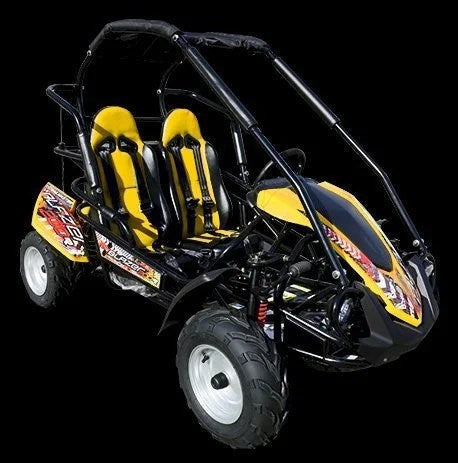Casavibeo TrailMaster Blazer 200R mid go-kart with sturdy frame and sporty design, ready for outdoor adventure.