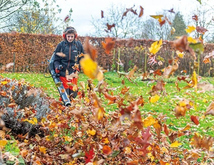 Casavibeo Echo PB-7910T backpack leaf blower with ergonomic harness and powerful engine, shown in a gardening setting.
