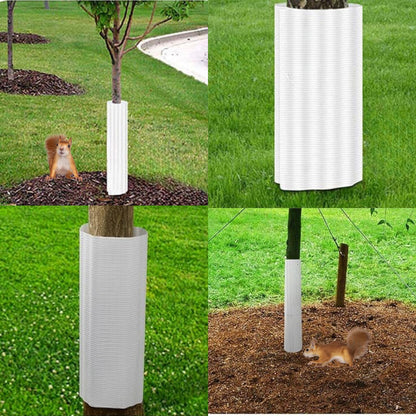 Belro squirrel baffle for trees, 6-pack, designed to protect garden trees from squirrels, in a natural outdoor setting.