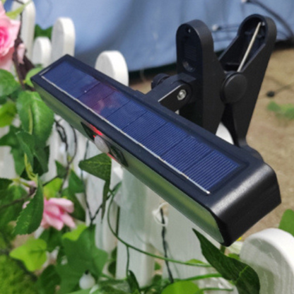 Belro waterproof solar-powered outdoor garden landscape lamp illuminating a garden path at dusk.