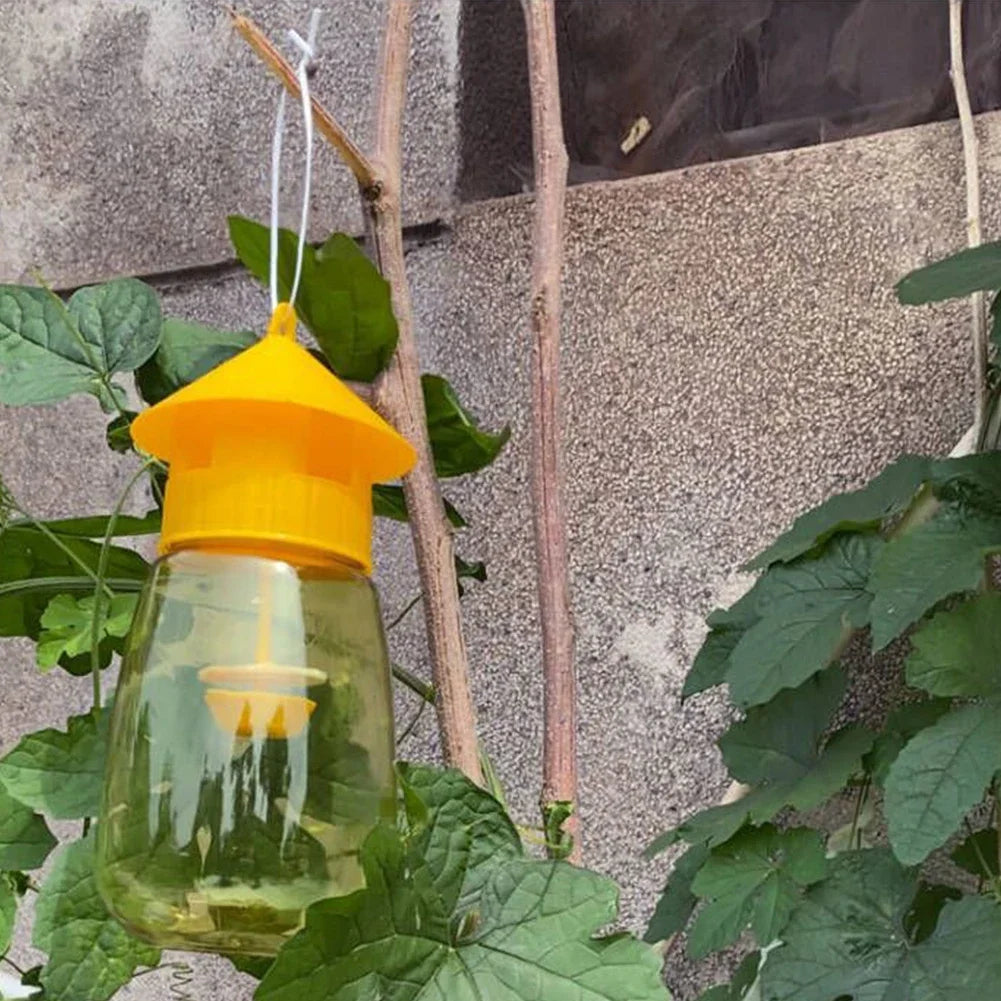 Belro hanging fruit fly trap for outdoor pest control, featuring a clear plastic container with attractant for fruit flies.