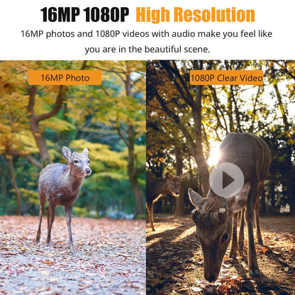 Belro 1080P Night Vision Trail Camera capturing outdoor wildlife with infrared illumination in a natural setting.