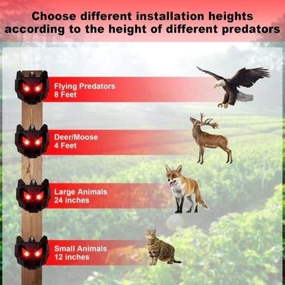 Belro solar-powered outdoor nocturnal animal repeller with two units for pest control in garden or yard.
