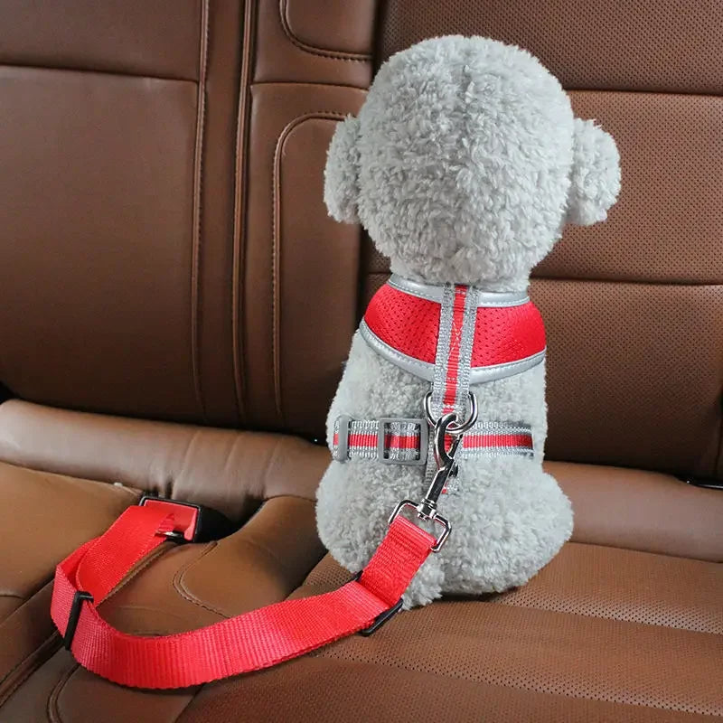 Belro adjustable dog seat belt attached to a car seat, ensuring pet safety during car rides with secure fastening.